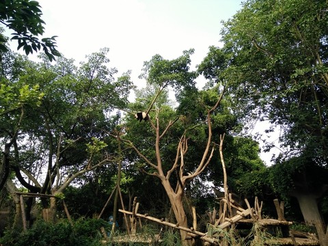 景觀園林