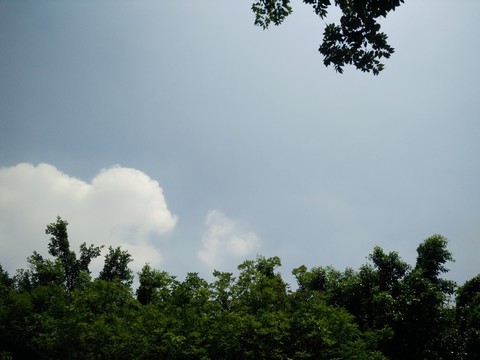 景觀園林