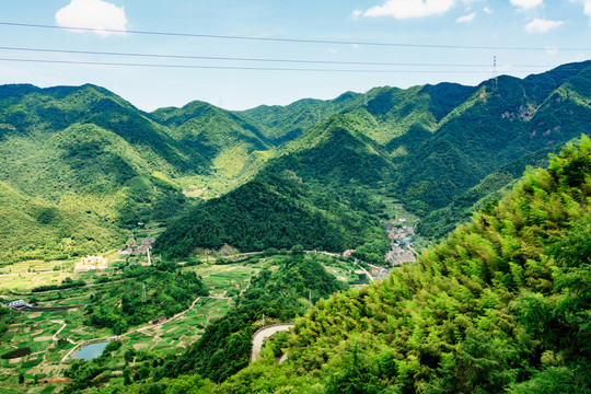 山區(qū)樹林 樹林光影 森林光影