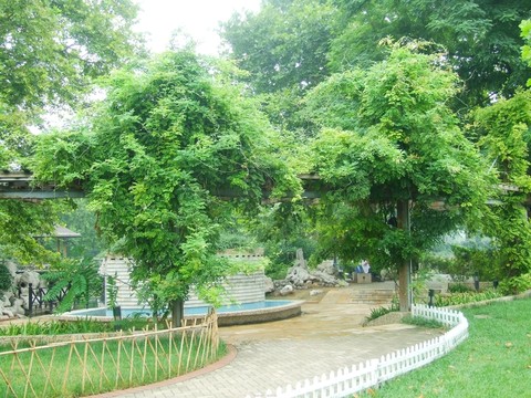 公園小景
