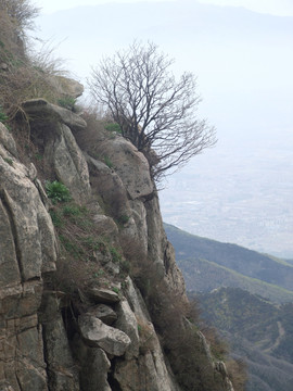 山石