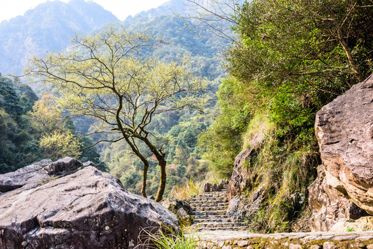 龍灣潭山景