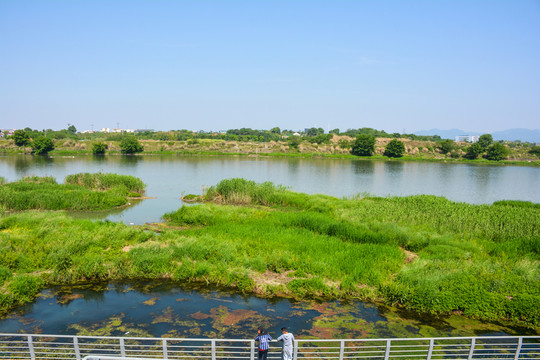 金華武義江邊公園