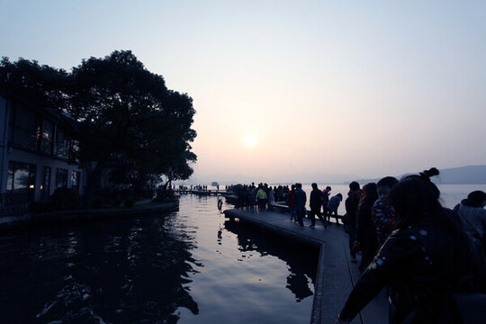西湖 西湖夜景 樹木 燈光 夜