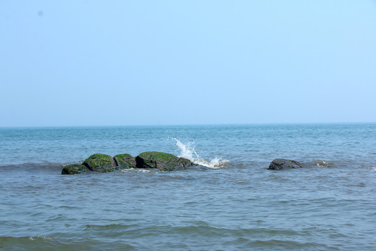 海