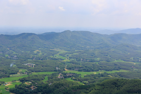 那霧山 山野風(fēng)光