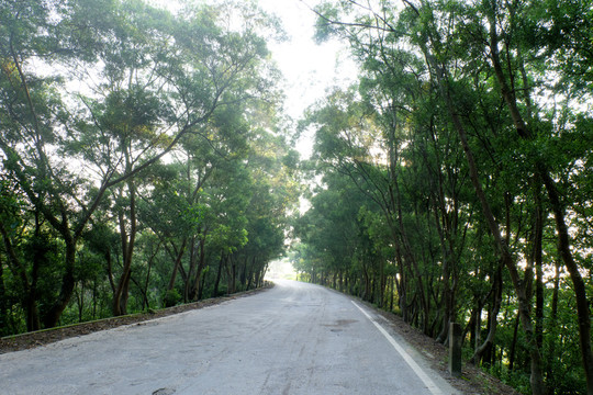 鄉(xiāng)村公路