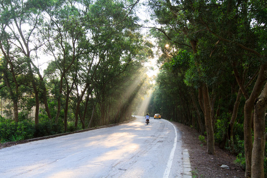 鄉(xiāng)村公路