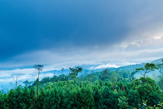 高山霧景