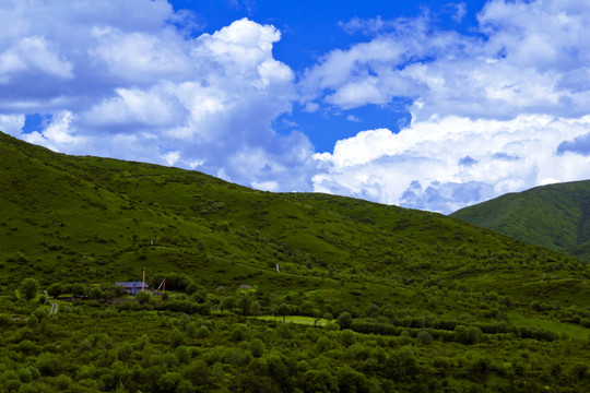 高原氣候