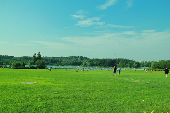 綠地