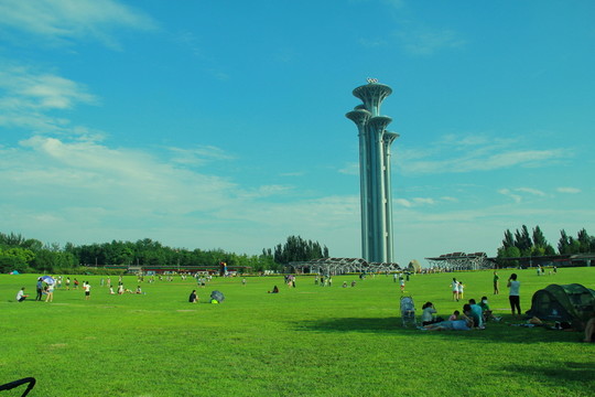 草地