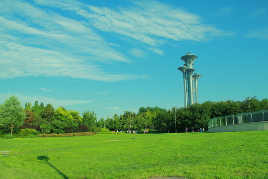草地