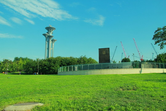 草地