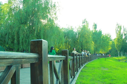 木橋
