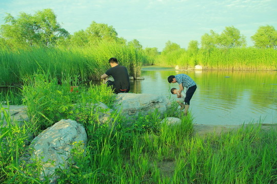 摸魚(yú)