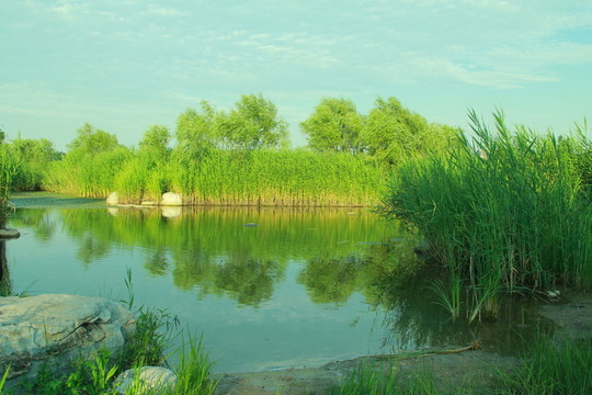 濕地