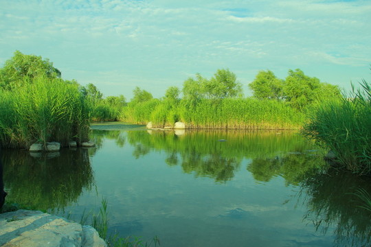 湖泊游客