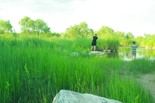 濕地公園