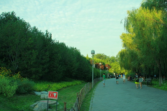 公園散步