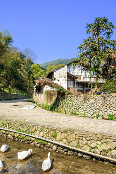 民居住宅