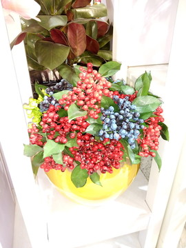 花卉水果拼盤