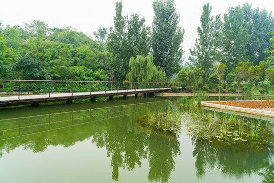 園林水景