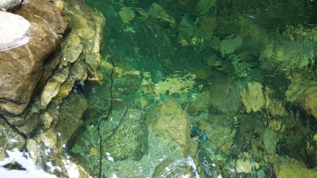 河流 溪水 綠水