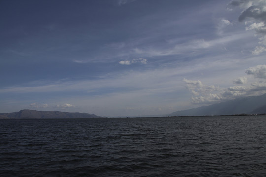 洱海紅嘴鷗 海鷗
