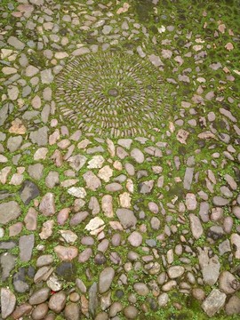 綠苔鵝卵石地面