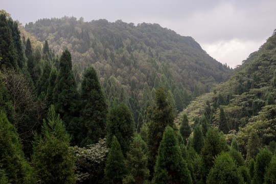 高山