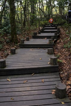 木板臺(tái)階
