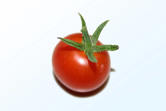番茄