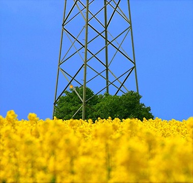 大自然從她那里奪走了什么…