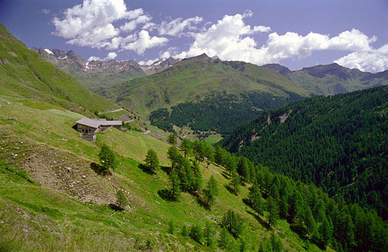 山
