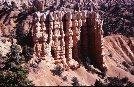 山