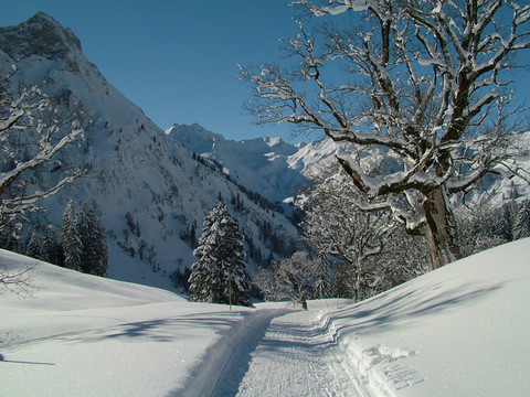 雪景觀