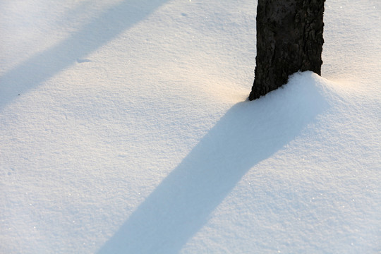 大雪