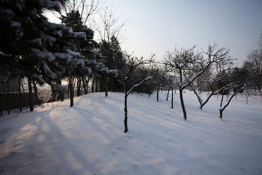 大雪