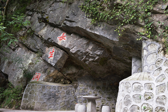 五峰縣 長生洞 樹葉