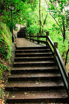 公園步道 公園休閑步道 石階