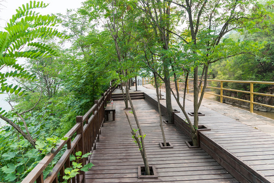 公園山林
