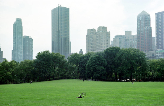 在中央公園，紐約