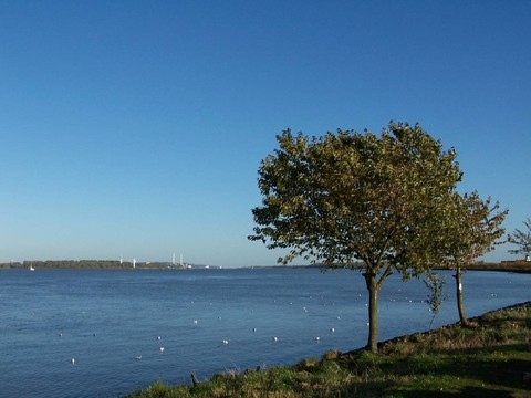 elbblick