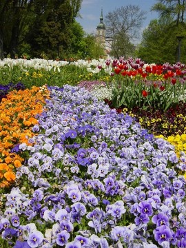 公園