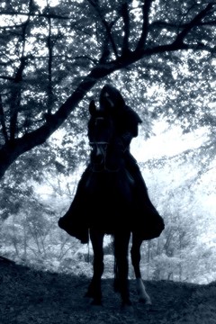死馬