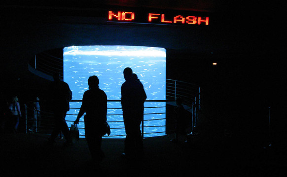 水族館