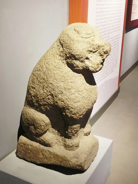 石虎