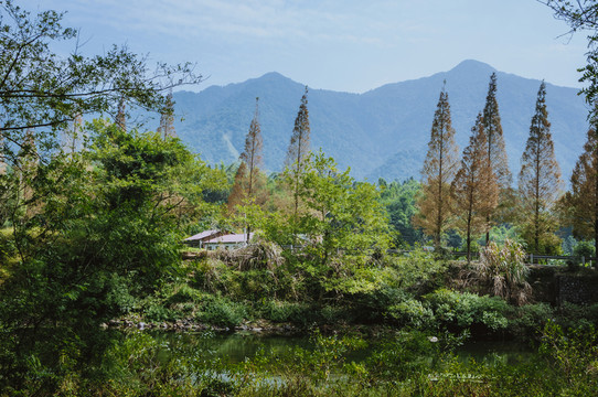 山林春色