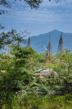 山林春色